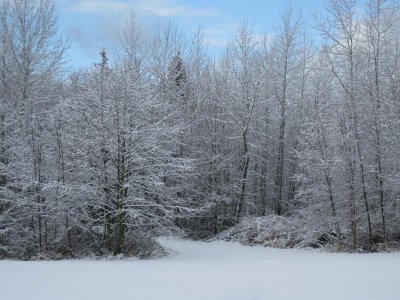 January 2012 007.jpg