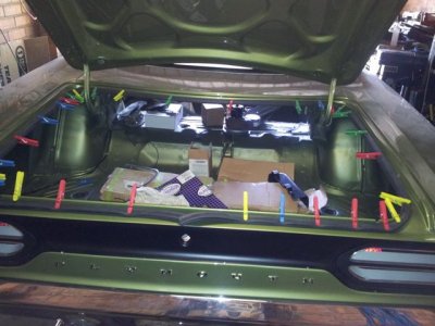 Trunk rubber.jpg Trunk rubber.jpg