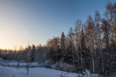 IMG_9863.jpg