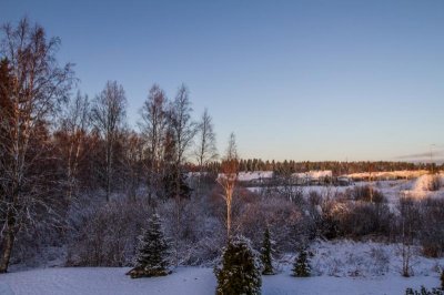 IMG_9866.jpg
