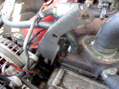 DSC01624 (Small).JPG