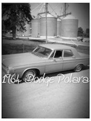 polara.jpg