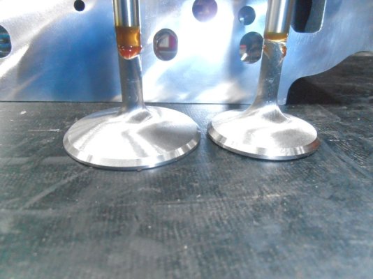 P1010063.JPG P1010063.JPG