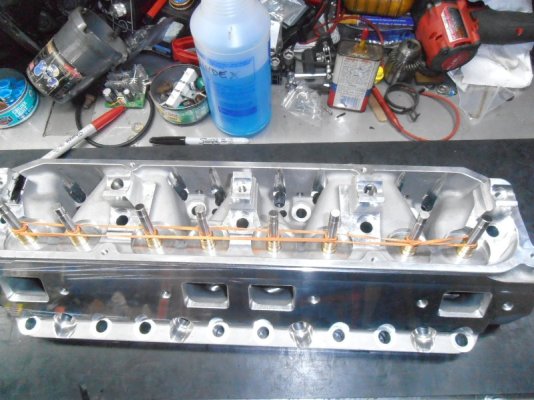 P1010069.JPG P1010069.JPG