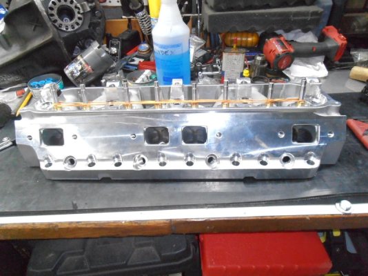 P1010072.JPG P1010072.JPG