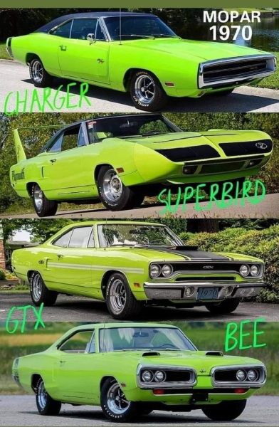 1742547517231.png