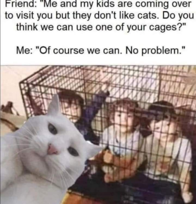 1742792882642.png