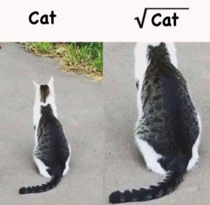 1742792993736.png