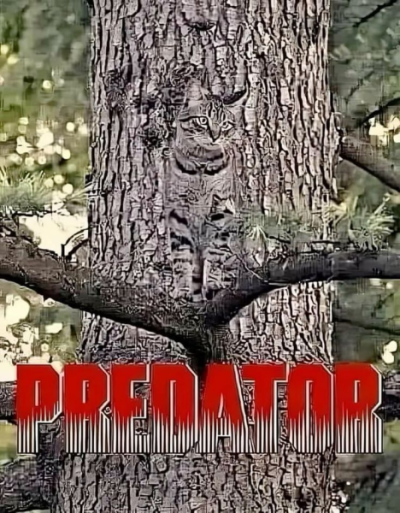 1743138964504.png