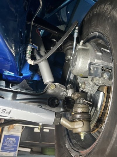 IMG_6641.jpeg IMG_6641.jpeg