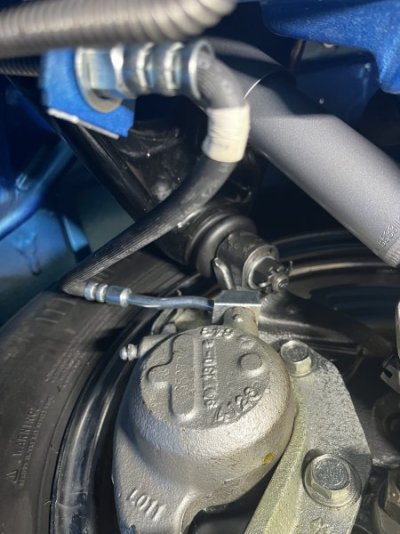 IMG_6639.jpeg IMG_6639.jpeg