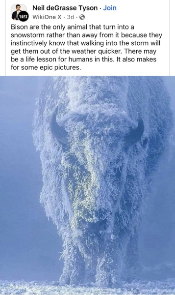1743182072444.png