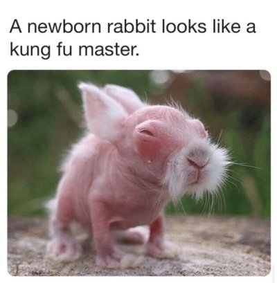 1743192207851.jpeg