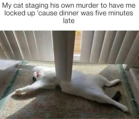 1743247453393.jpeg