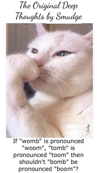 1743611758913.png