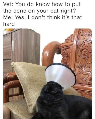 1743673908847.png