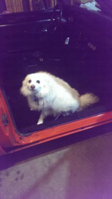 IMAG3489.jpg IMAG3489.jpg