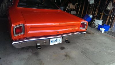 IMAG3535.jpg IMAG3535.jpg