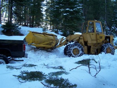 100_7364 (Large).jpg