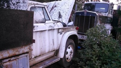 Site Assignments.jpg Site Assignments.jpg