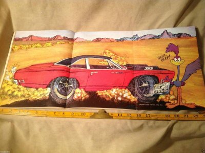 road runner.jpg