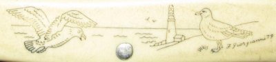 Sydney's Pocket Knife-003.jpg