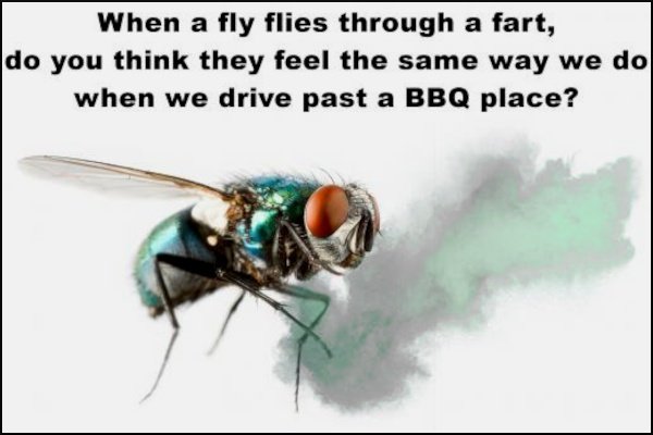 1743840948096.jpeg
