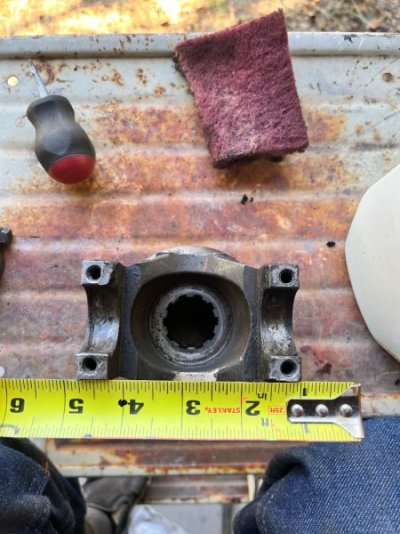 image1 (3).jpeg