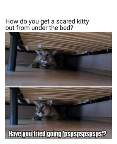 1744221987510.png