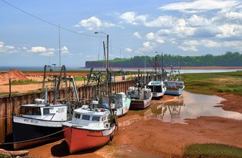 low-tide1.jpg