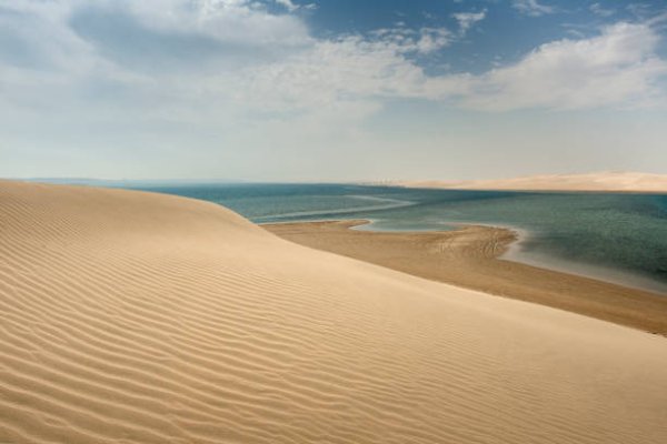 istockphoto-1318470819-612x612.jpg