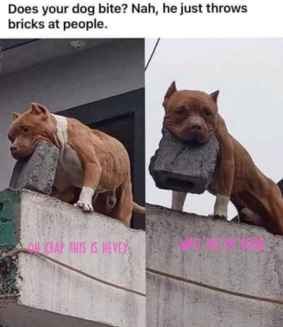 1744309041924.png