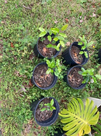 IMG_0842.jpg IMG_0842.jpg