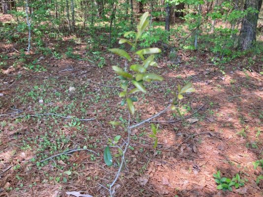 IMG_0848.jpg IMG_0848.jpg