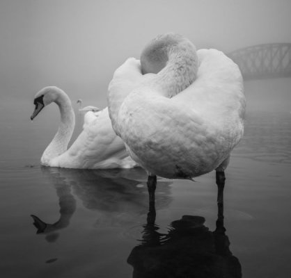 fine-art-photography-awards-21.jpg