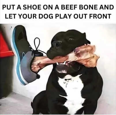 1744825816590.png