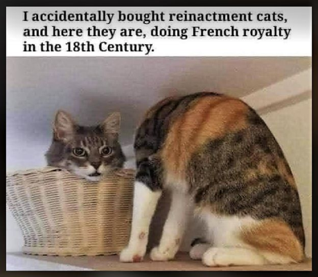 1744947705330.png