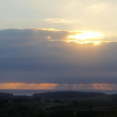 20250413_070557.jpg