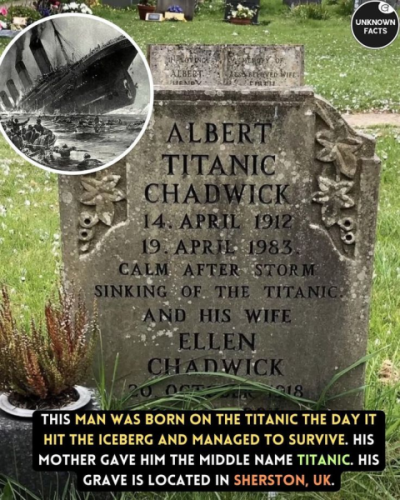 1745177462564.png