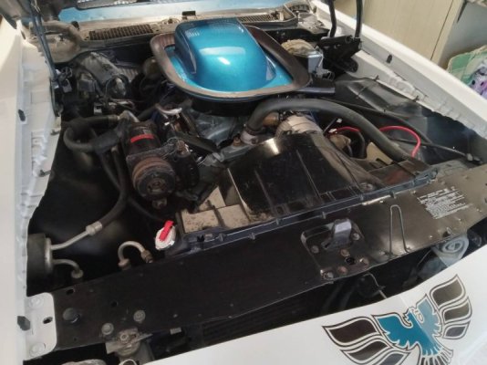 brave-guy-picked-up-1970-trans-am-after-original-owner-passed-parked-since-1990_10.jpg