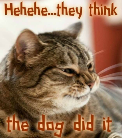 1745431129723.png