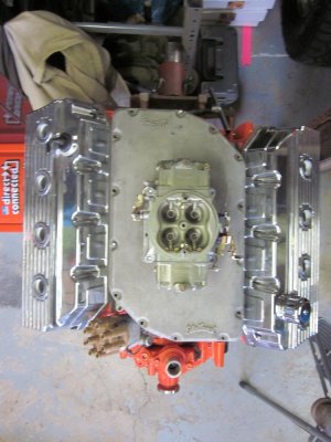 hemii rr.jpg hemii rr.jpg