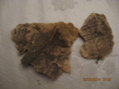 IMG_0831.jpg IMG_0831.jpg