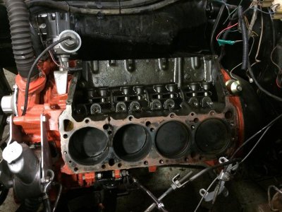 IMG_2595.jpg IMG_2595.jpg