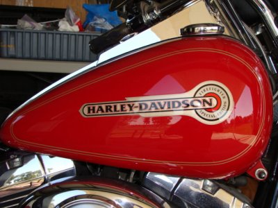 2005 HD Fatboy 002.jpg