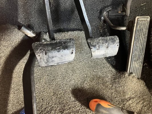 IMG_0568.jpeg IMG_0568.jpeg