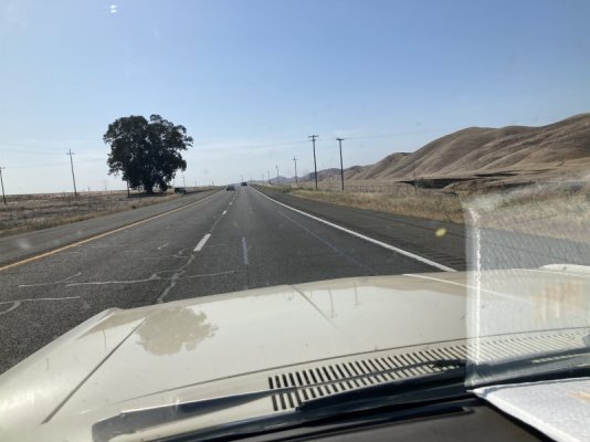 IMG_7061.jpeg