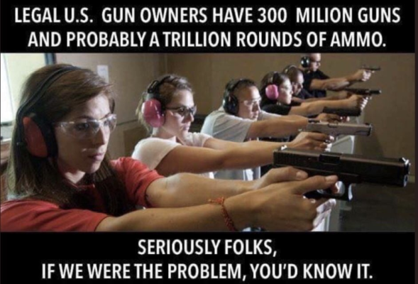 Gun American Gun owners 300 million strong  a trillion in ammo - you'd know it.png