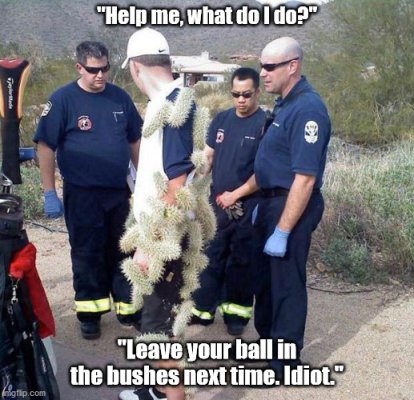 Golf Cactus everywhere Leave your ball in the bushes next time idiot.jpg
