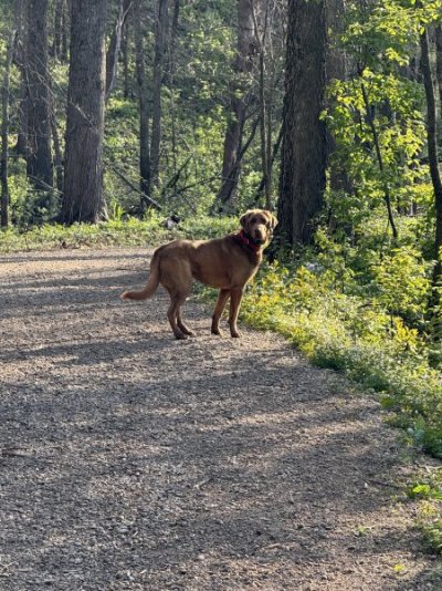 IMG_8053.jpeg